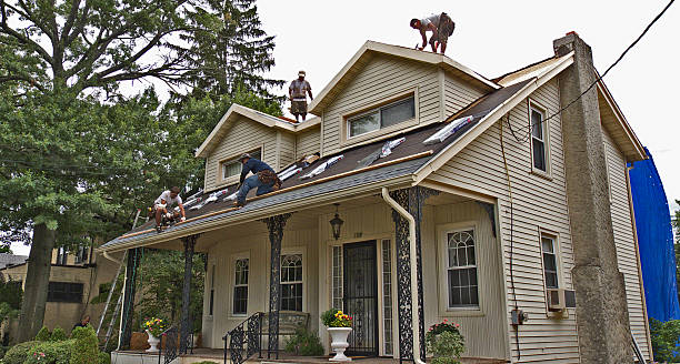 Best Local Roofing Companies  in One Loudoun, VA