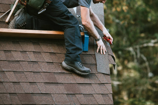 Best Roof Gutter Cleaning  in One Loudoun, VA